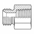 Adaptall Hose Adapter,1/2",BSPP,1/2",NPT 9035-0808
