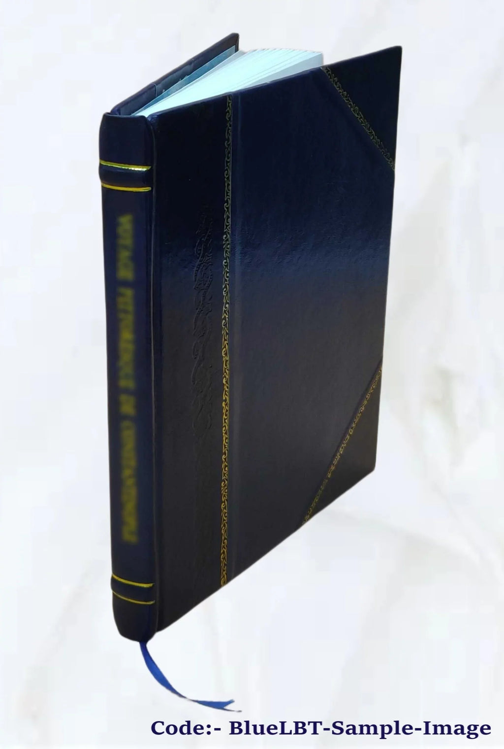 Evropa po stránce fyzicky zeměpisné 1926 [Leather Bound]