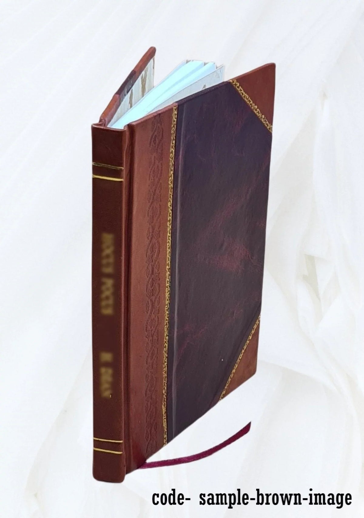 Evropa po stránce fyzicky zeměpisné 1926 [Leather Bound]