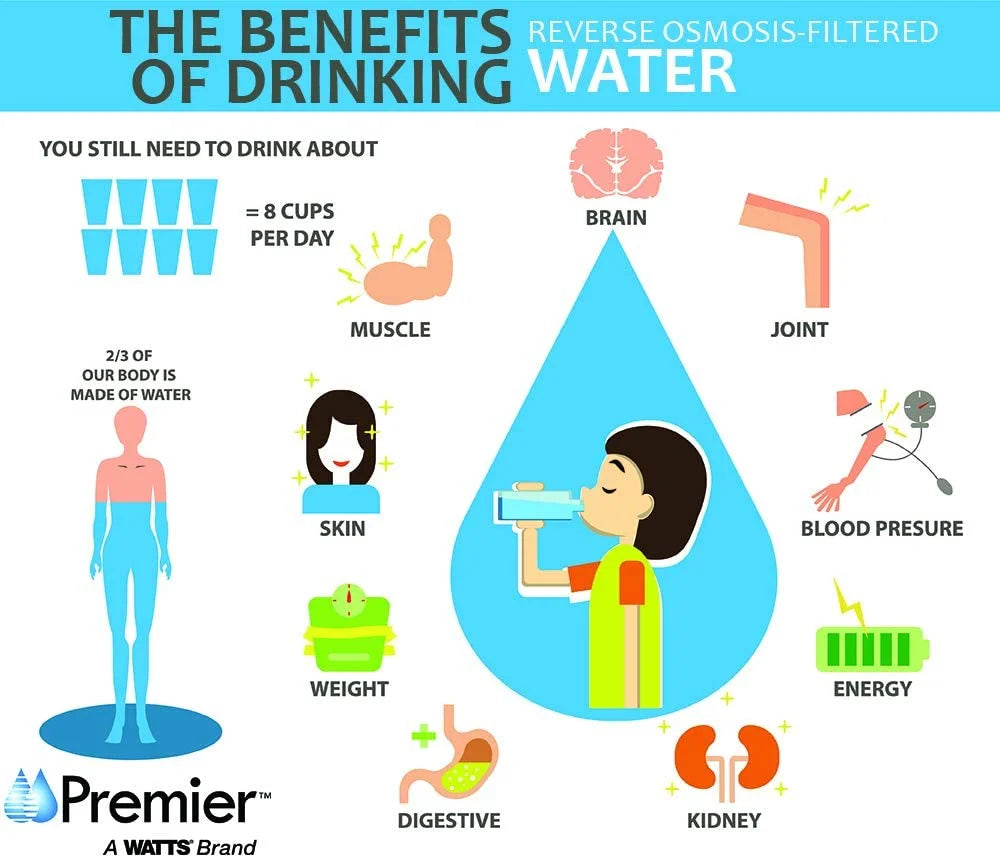 LIHONG WP531417 RO Pure Plus Reverse Osmosis Filtration System with Top-Mount Twist Faucet, Brushed Nickel, Standard